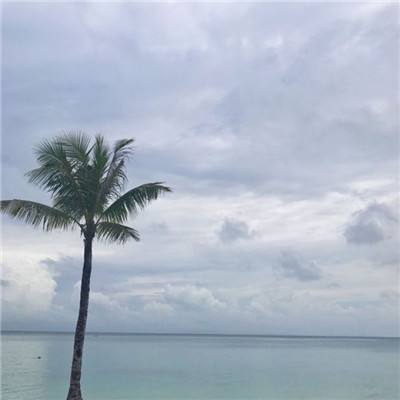龙虎门手游360版下载